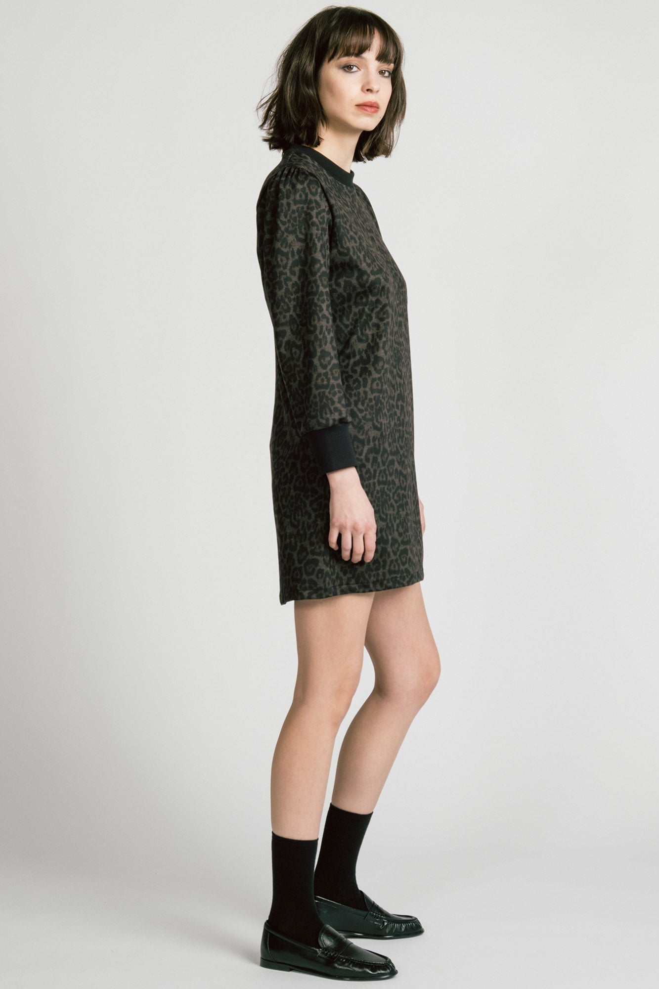 Delphinus Dress